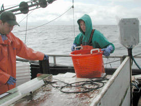 Emploi/ Observateurs des pêches en mer